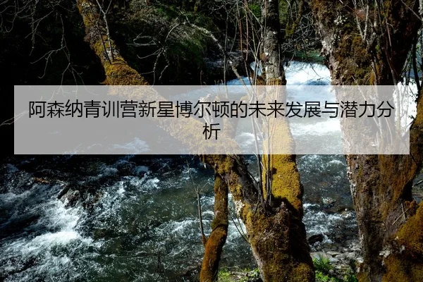 a-sen-na-qing-xun-ying-xin-xing-bo-er-dun-de-wei-lai-fa-zhan-yu-qian-li-fen-xi-1-675.jpg